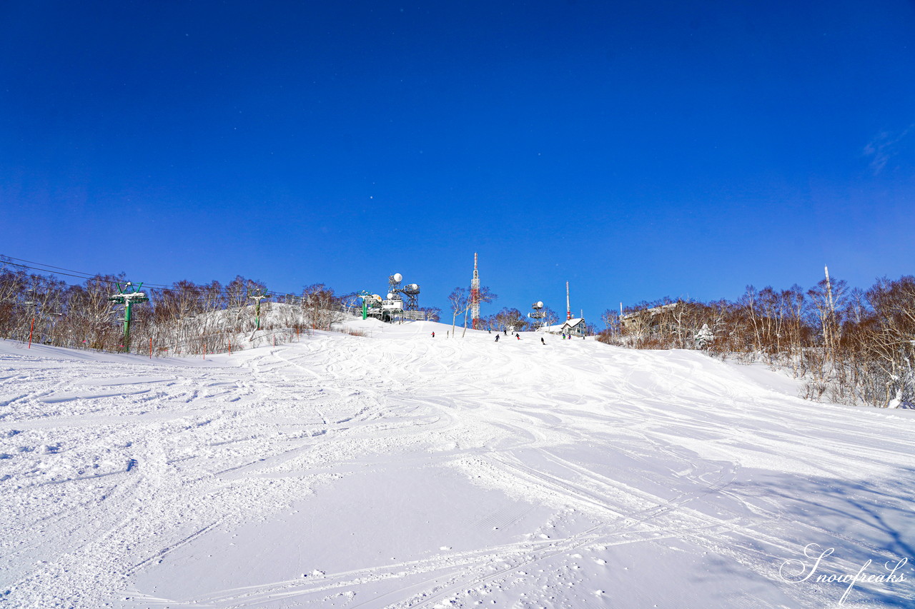 サッポロテイネ　これが北海道の冬。気温-11℃、澄んだ青空の下、パウダースノーが舞う天空のゲレンデ！